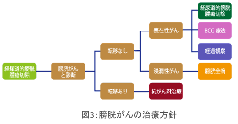 図3 膀胱がんの治療方針